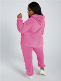 Solid Color Pink Plush Hooded Long Sleeve Winter 2 Piece Pant Set