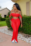 Solid Color Crop Top and Pleated Split Micro Trousers