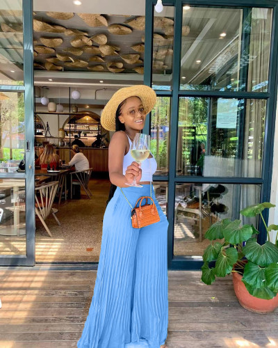 Sky Blue Casual Solid Pleated Mid Waist Wide Leg Pants