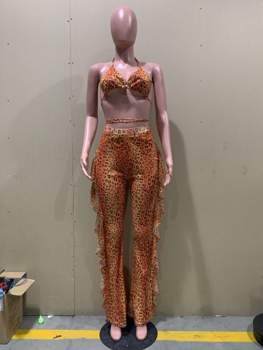 Casual Printed Mesh Two-piece Set with Panties