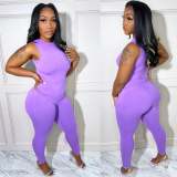 Solid Sleeveless Two Piece Ipresistible Set Purple