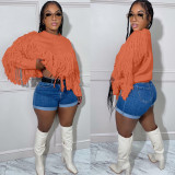 Solid Knitted Fringed Sweater