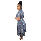 Casual Digital Geometric Irregular Print Midi Dresses