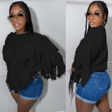 Solid Knitted Fringed Sweater