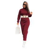 Solid Color Sweater Women High Neck Knit Long Dress without Belt