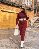 Solid Color Sweater Women High Neck Knit Long Dress without Belt