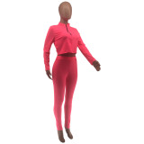 Solid Color Zipper Two Piece Set