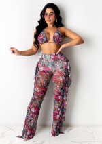 Casual Printed Mesh Two-piece Set with Panties