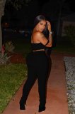 Solid Color Crop Top and Pleated Split Micro Trousers