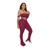 Solid Color Crop Top and Pleated Split Micro Trousers