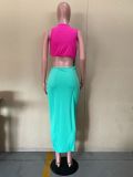 Women's Steel Ring Panel Sleeveless Long Dress