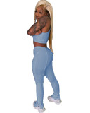 Solid Color Vest Crop Top and Trousers
