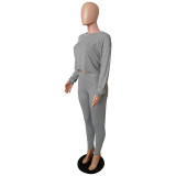 Solid Color Batwing Sleeve High Waist Top & Trousers