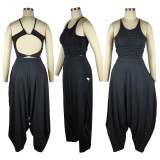 Black Casual Knitted Straps Backless Top & Pleated Harem Pants