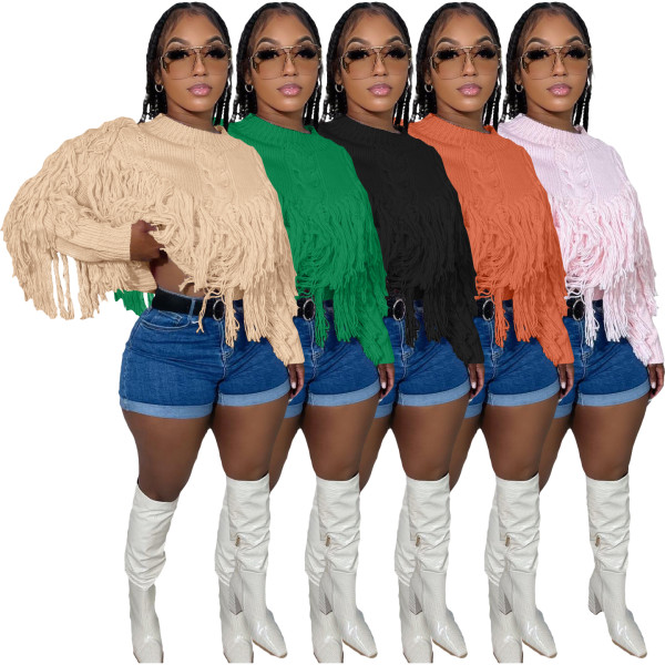 Solid Knitted Fringed Sweater