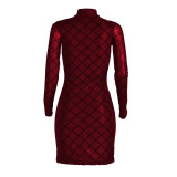 High Neck Flocked Mesh Party Dress with Zipper Back