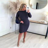 Exclusive Knit Round Neck Backless Sweater Dresses