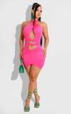 Summer Rose Hollow Out Bandage Halter Mini Sexy Bodycon Dress