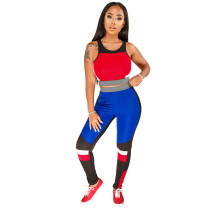 Casual Sports Crop Vest Top and Pant