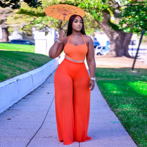 Fall Outfits Women Sexy Halter Crop Top and Wide Leg Mesh Trousers