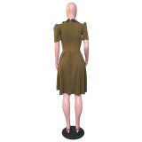 OL Style Ruffle Collar Short Sleeve Pleated Dress