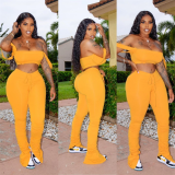 Solid Color Crop Top and Pleated Split Micro Trousers