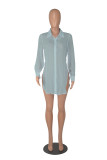 Solid Color Sexy See Through Single-breasted Lapel Slits Chiffon Shirt