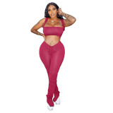 Solid Color Crop Top and Pleated Split Micro Trousers
