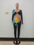 Women Colorful Ink-splash Print Crop Top Two Piece Outfits