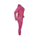 Hole Net Zipper Print Jumpsuit