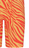 Casual Print Letter Men Shorts