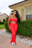 Solid Color Crop Top and Pleated Split Micro Trousers