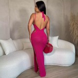 Summer Beachwear Hook Strap Halter Mesh Slit Sunscreen Long Beach Dresses