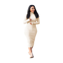 Casual Solid Khaki Embroidered Turtleneck Zipper One Step Skirt Dresses
