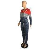 Casual Colorblock Hooded Zipper Pant Set
