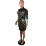Sexy Mesh Sequined Fringed Bodycon Dress