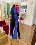 Blue Sexy Solid Split Turtleneck Nightclub Sweater Sexy Long Sleeveless Dress (Without Waist Chain)