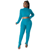 Casual Long Sleeve Bubble Fabric Pants Set
