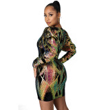 Invisible Zipper Sequins Nightclub Dress