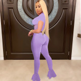 Purple Women Fitness Mesh Stitching Clothing Wear Flared Trousers Women Set