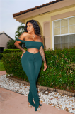Solid Color Crop Top and Pleated Split Micro Trousers