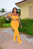 Solid Color Crop Top and Pleated Split Micro Trousers