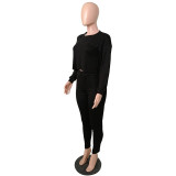 Solid Color Batwing Sleeve High Waist Top & Trousers