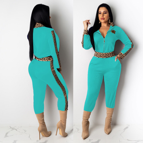 Casual Light Blue Women's Zip Print Blouse and Trousers