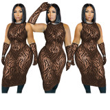 Plus Size Sheer Mesh Zebra Print Mid Dress With Gloves