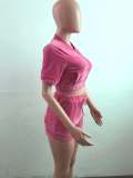 Women 2021 Pink Velvet Zipper Crop Top and Short Set