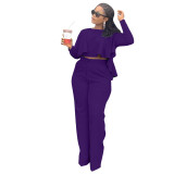 Autumn Solid Purple High-Low Top & Pants Set