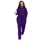 Autumn Solid Purple High-Low Top & Pants Set