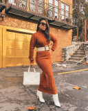 Solid Color Sweater Women High Neck Knit Long Dress without Belt