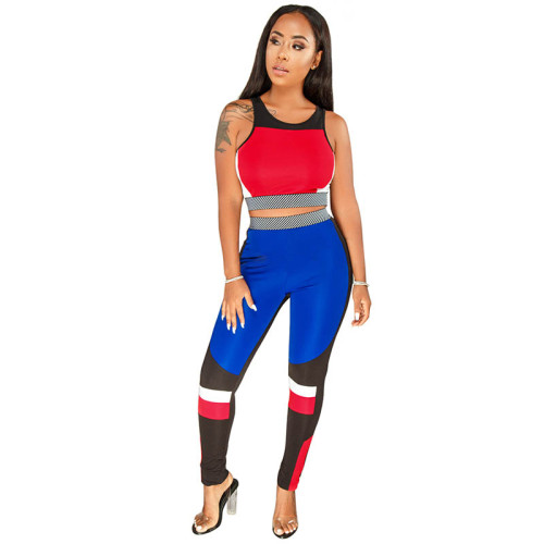 Casual Sports Crop Vest Top and Pant